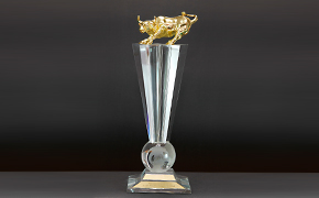 Golden Bull Award